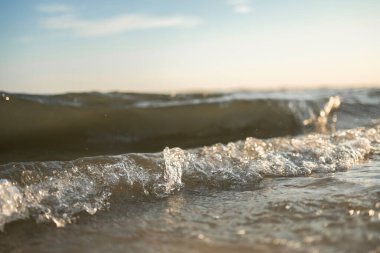 Sahilde deniz köpüğü dalgası