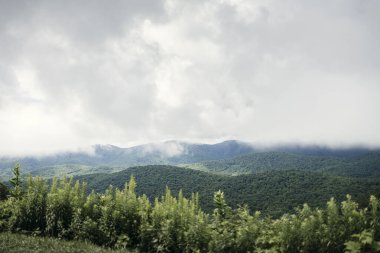 Dağ sırası olan güzel bir manzara.