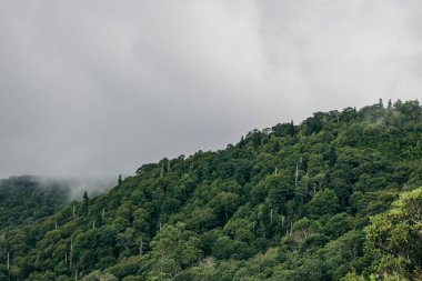 Dağlardaki dağ manzarası