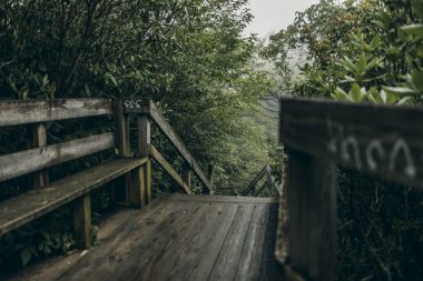 Tahta merdivenler ve orman köprüsü