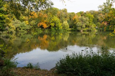 Göletli parkın güzel manzarası