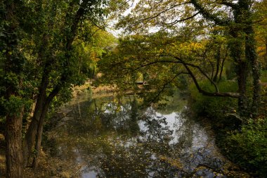 Göletli parkın güzel manzarası