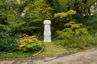 Yollu ormanın güzel manzarası
