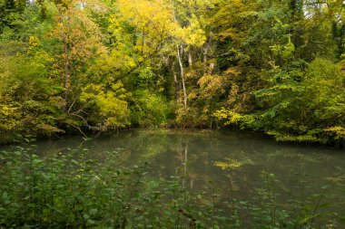 Göletli parkın güzel manzarası