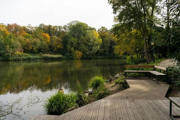 Göletli parkın güzel manzarası