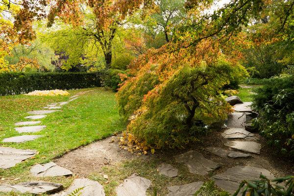 beautiful view of the park with path