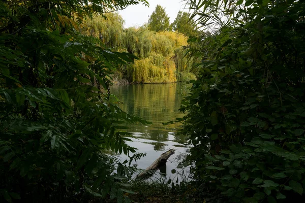 stock image beautiful view of the park with pond