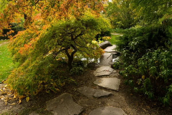 Beautiful View Park Path — Stock Photo, Image