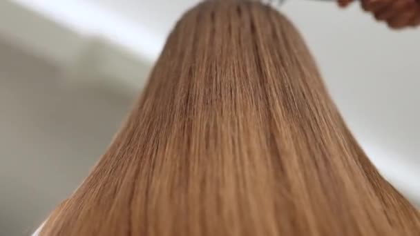 Πίσω Όψη Της Όμορφης Νεαρής Γυναίκας Λευκό Φανελάκι Χτενίζει Μαλλιά — Αρχείο Βίντεο