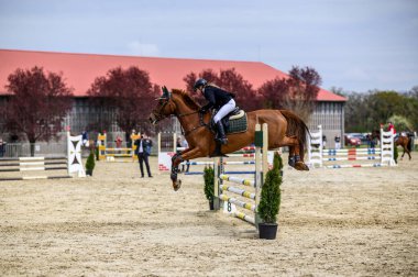 HORTOBAGY, HUNGARY 23 NİSAN 2022 Siyah ceketli ve beyaz pantolonlu bir kadın binicilik etkinliği sırasında bir kestane atının üzerinden zarif bir şekilde atlıyor. At havada uçuyor.