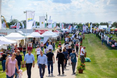 HODMEZOVASARHELY, HUNGARHELY - MAYIS 06, 2022: Açık mavi gökyüzü altında canlı tezgahlarla tarım fuarını gezen insanların hareketli sahnesi