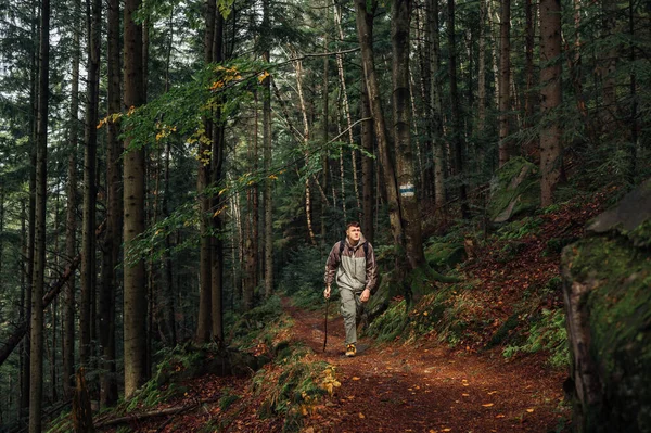 Homem Turista Está Caminhando Sozinho Nas Montanhas Com Pau Suas — Fotografia de Stock