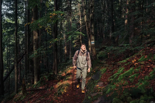 Fiatal Férfi Turista Alkalmi Ruhában Sétál Végig Hegyi Ösvényen Erdőben — Stock Fotó
