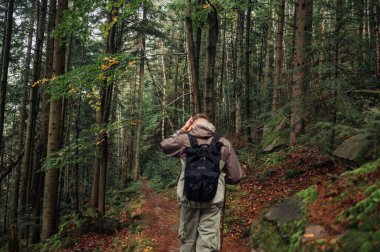 Geçmişi. Dağlarda bir orman ve yolda yürüyen bir turist. Bulanık fotoğraf.
