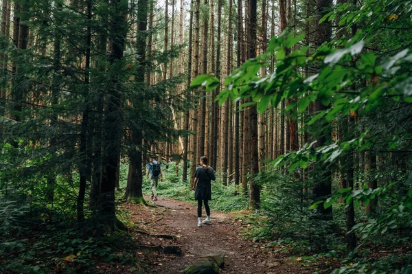 Turistas Masculinos Femininos Caminham Longo Caminho Florestal Montanhismo Recreação Ativa — Fotografia de Stock