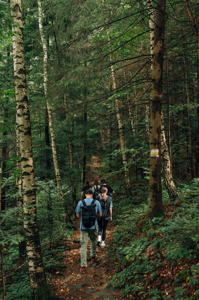 一群年轻的游客正在登山 沿着一条穿过森林的小路 爬上山顶 垂直照片 — 图库照片
