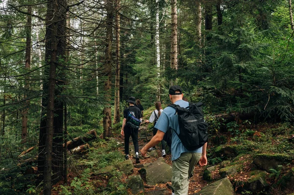 一群朋友在山里走着 走在一条穿过森林的小径上 后视镜 朋友们积极地在山里休息 — 图库照片