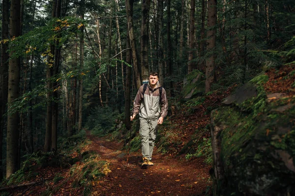 Samiec Turysty Luźnych Ubraniach Spaceruje Kijem Ręku Leśnej Ścieżce Wspinając — Zdjęcie stockowe