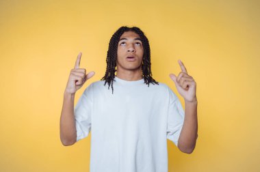 Yukarı bakan genç bir adamın portresi. Sanki yeni bir fikri gözler önüne seriyor gibi. Sarı arka planda merak ve yaratıcılık yayıyor.