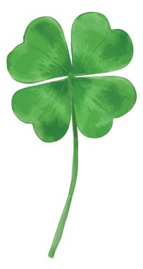 Suluboya 4b yaprak yoncası çizimi