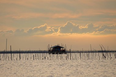 Tayland 'ın balıkçıları için denizde ahşap kulübeler..