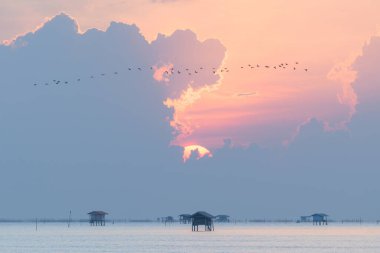 Tayland 'ın balıkçıları için denizde ahşap kulübeler..