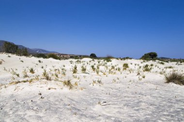 Yunan adasında kumlu bir ovanın manzarası