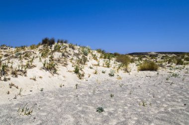 Yunan adasında kumlu bir ovanın manzarası