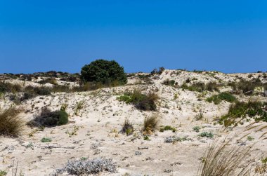 Yunan adasında kumlu bir ovanın manzarası