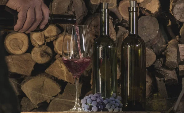 Degustazione Vino Rosso Uve Isabella Cantina Sommelier Versando Vino Rosso — Foto Stock