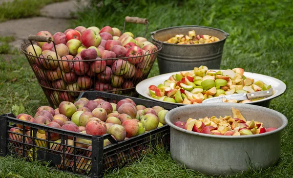在花园里把许多苹果切成碎片 新鲜的红苹果收获 切和准备一个新鲜的苹果供食用 在室外切果子酱或果汁 — 图库照片