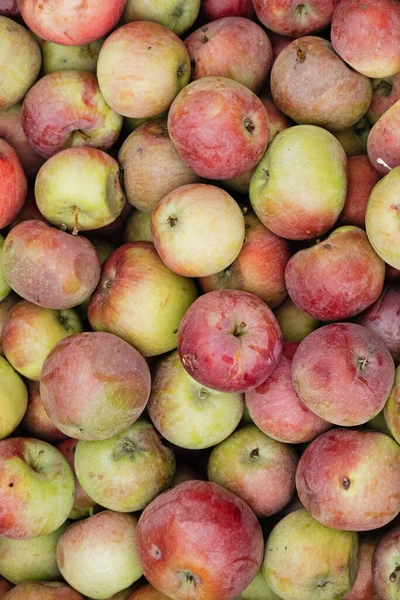 新鮮なリンゴの収穫 自然リンゴの背景 クローズアップ — ストック写真
