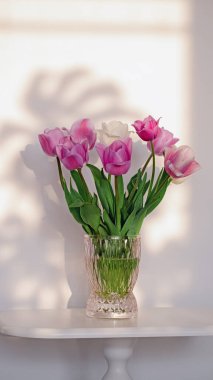 Pink tulips flowers in the vase on white background