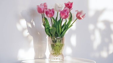 Pink tulips flowers in the vase on white background
