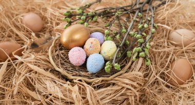 Colorful Easter eggs in the nest rotate. Greeting card with quail eggs and chicken eggs. Happy Easter holiday. Christian celebration, family traditions, flat lay top view