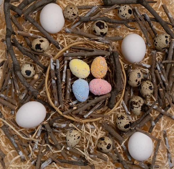 Colorful Easter eggs in the nest rotate. Greeting card with quail eggs and chicken eggs. Happy Easter holiday. Christian celebration, family traditions, flat lay top view