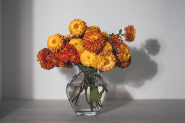 Kasımpatı çiçekleri vazoda. Rengarenk sonbahar kasımpatı dekoru için vazoda çiçekler. Çiçekçi, çiçekçi.