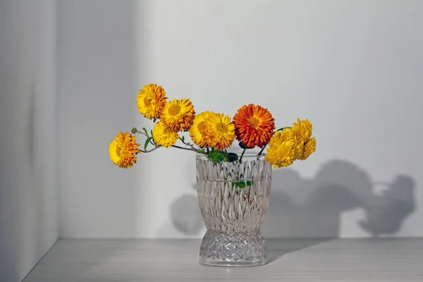 Chrysanthemen Blühen Der Vase Bouquet Von Bunten Chrysanthemen Herbst Blumen — Stockfoto
