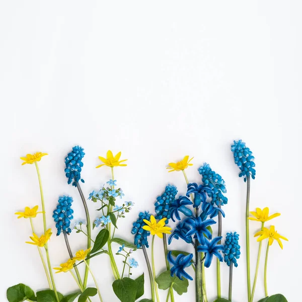 Beautiful spring flowers on white background - buttercup flower, buttercup, forget-me-not, ficaria, hyacinth. Springtime. Spring colorful flowers. Floral background