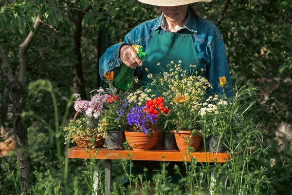 Hands Woman Planting Beautiful Flowers Garden Backyard Putting Soil Hands — 스톡 사진