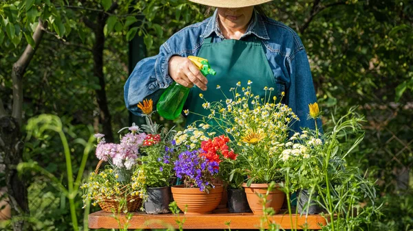 Hands Woman Planting Beautiful Flowers Garden Backyard Putting Soil Hands — Stockfoto