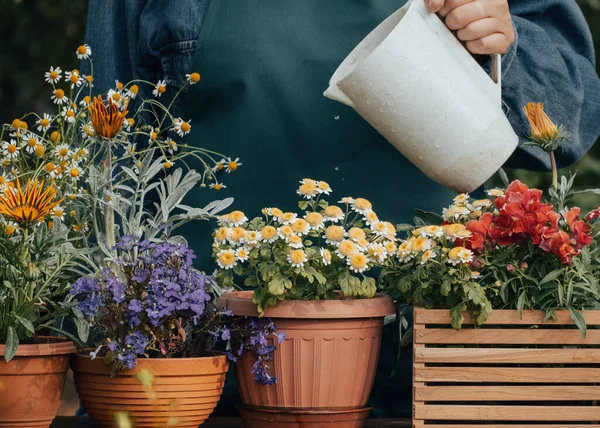 Watering Flowers Pot Sprays Water Flowerpots Garden Florist Working Takes — Foto de Stock