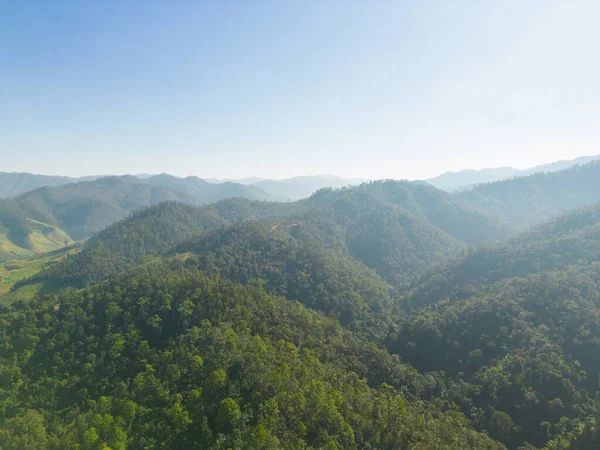 Aerial Top View Forest Trees Green Mountain Hills Sea Fog — 스톡 사진