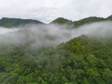 Gün batımında sisli orman ağaçlarının ve yeşil dağ tepelerinin havadan görünüşü. Doğa manzarası arka planı, Tayland.