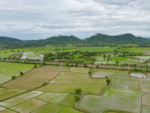 꼭대기에는 시외에 반사되어 농경지가 산비탈 치앙마이 타이의 산등성이 수확하는 농작물 — 스톡 사진