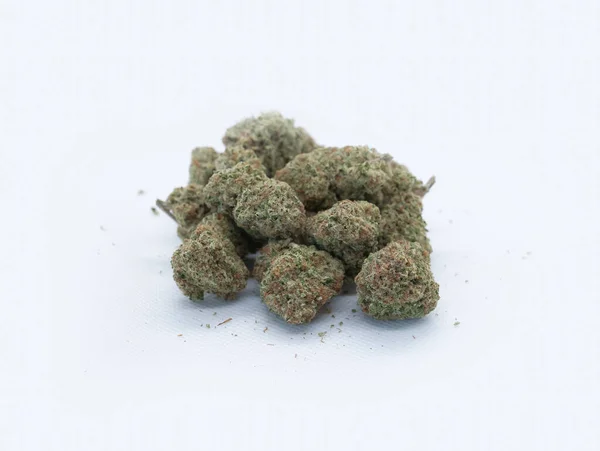 Marijuana Hemp Cannabis Plant Flower Leaves Farm Lab Isolated White —  Fotos de Stock