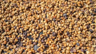 Kavrulmuş kahve çekirdeği desenli arka plan. Çiğ besin maddesi.