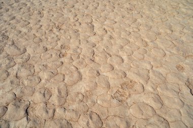 Çeltik pirinç tarlasında kum olan kuru toprak çatlakları. ciddi su sıkıntısı ve kurak kuraklık desenli arka plan.