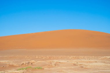 Namib Çölü Safarisi Namibya, Güney Afrika 'da kum tepecikli. Gün batımında doğal manzara. Ünlü turist eğlencesi. Büyük Kanyon 'da kum