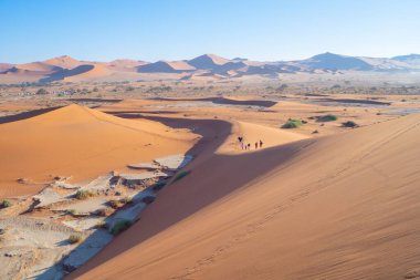 Namib Çölü Safarisi Namibya, Güney Afrika 'da kum tepecikli. Gün batımında doğal manzara. Ünlü turist eğlencesi. Büyük Kanyon 'da kum